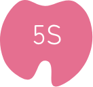 5S
